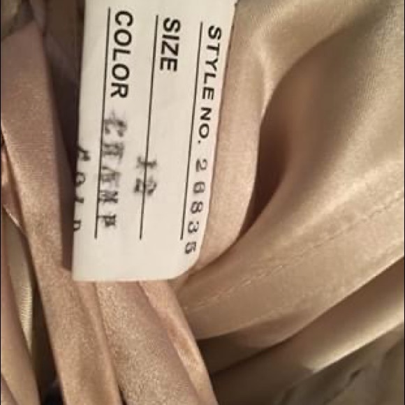 Quincenera Dress - Picture 6 of 8